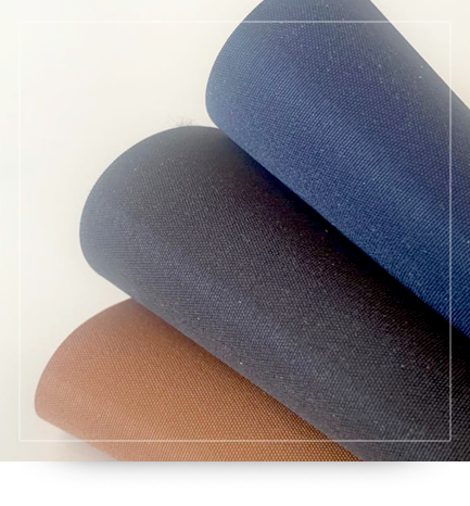 Línea Genero Traslúcida